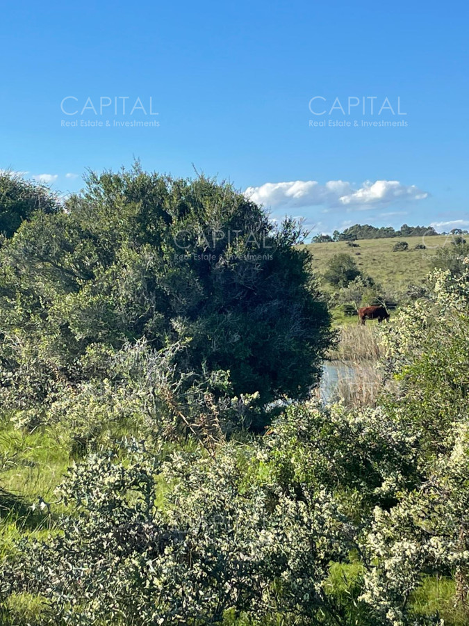 Chacra ID.35099 - Chacra en venta, muy cerca de Club de Polo Santa Cruz.