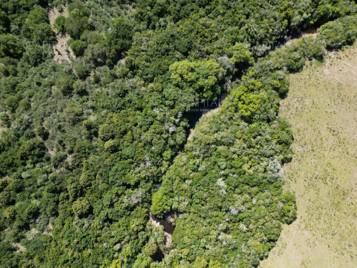 Chacra ID.39639 - Inversión estratégica :Excelente chacra con gran potencial turístico 11has  