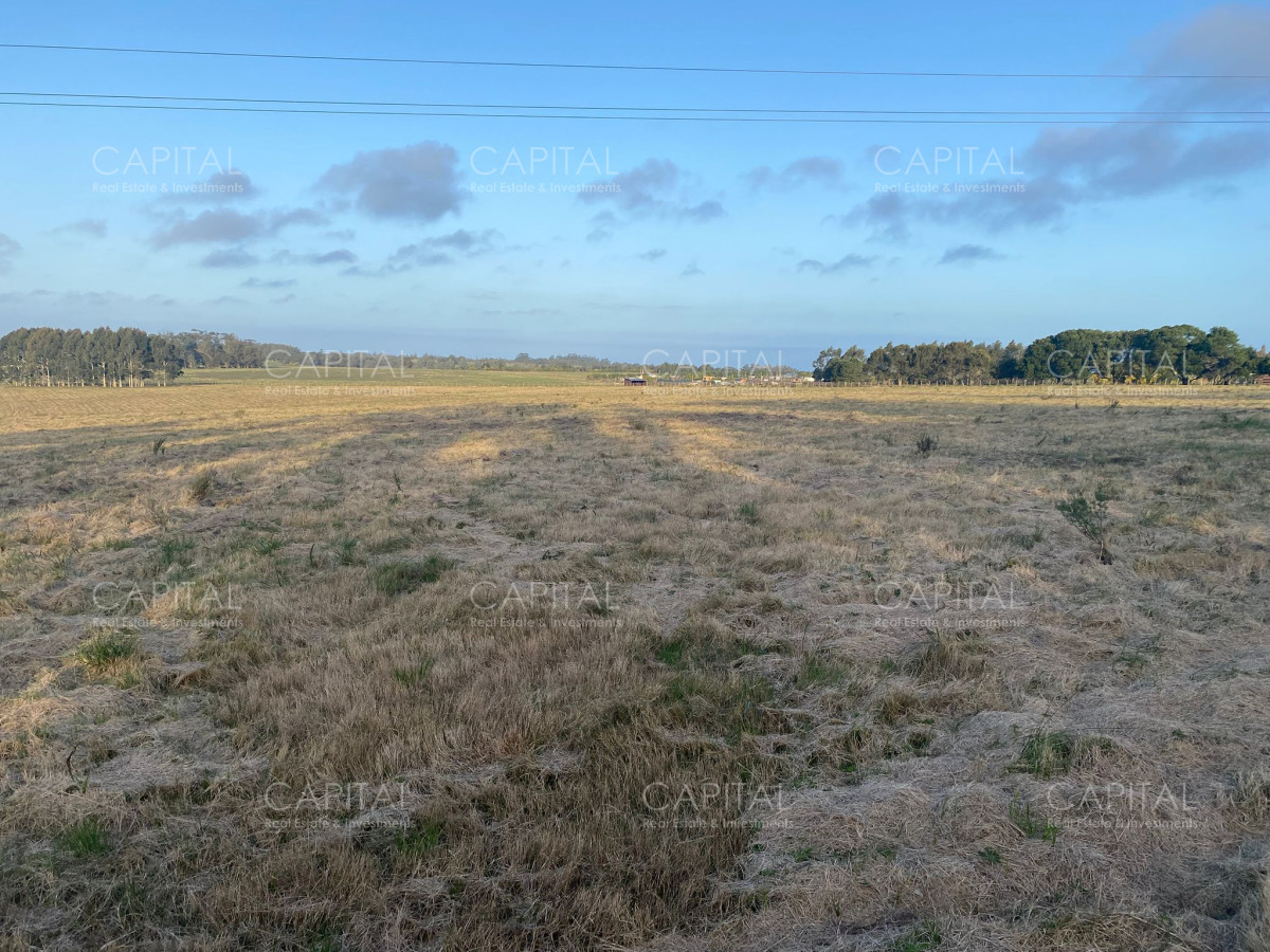 Chacra ID.38823 - Chacra de 5 has sobre ruta 104 próximo a MACA ,Pueblo Mío, NARBONA La Plantación