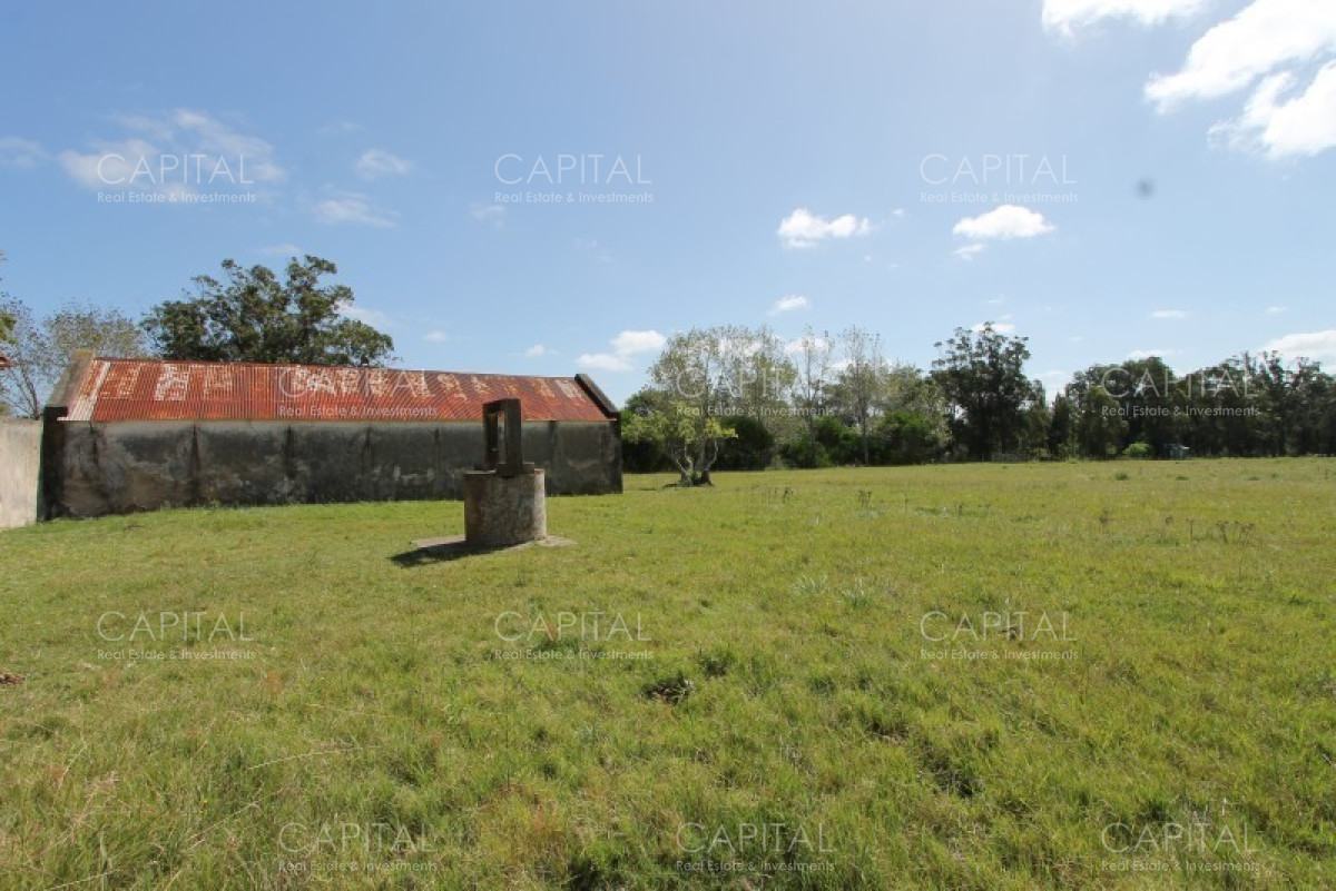 Chacra ID.36637 - Excepcional Chacra 12 HAS en Narbona