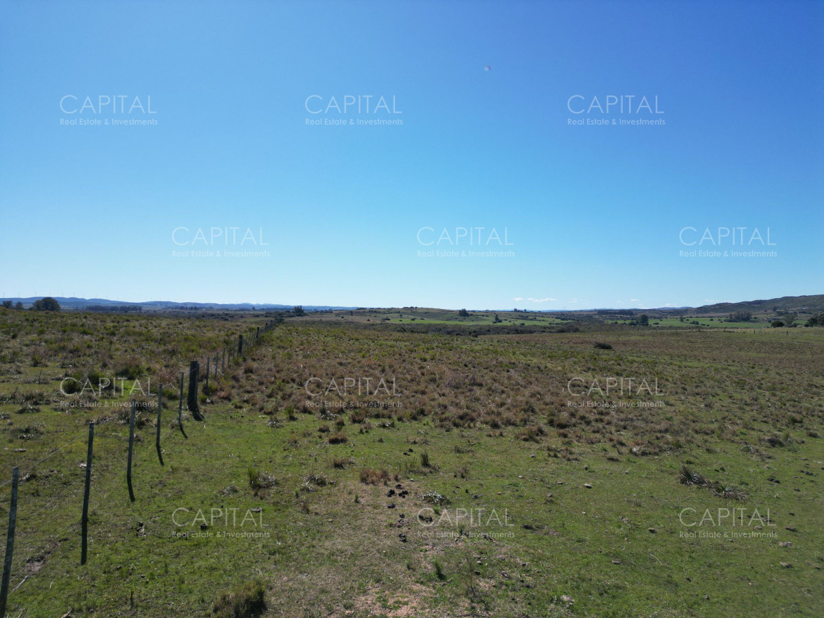 Chacra ID.38877 - Chacra de 10 has próxima a ruta 39 con arroyo 