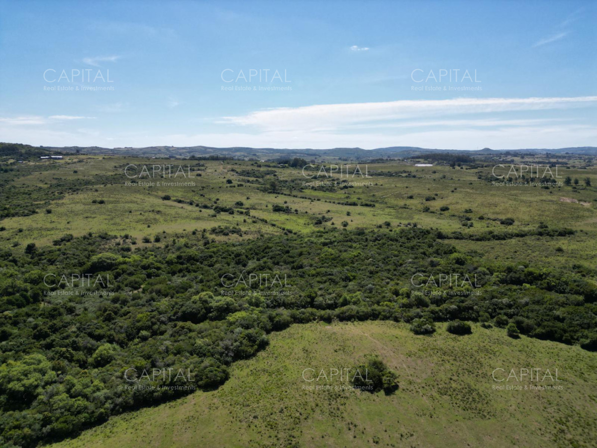 Chacra ID.39639 - Inversión estratégica :Excelente chacra con gran potencial turístico 11has  