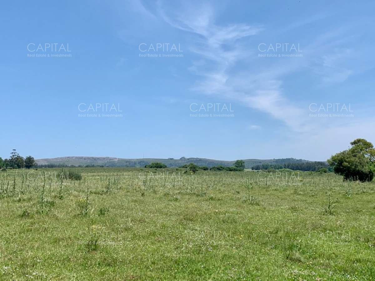 Chacra ID.28488 - Chacra con arroyo de casi 19 hectáreas disponible en Venta