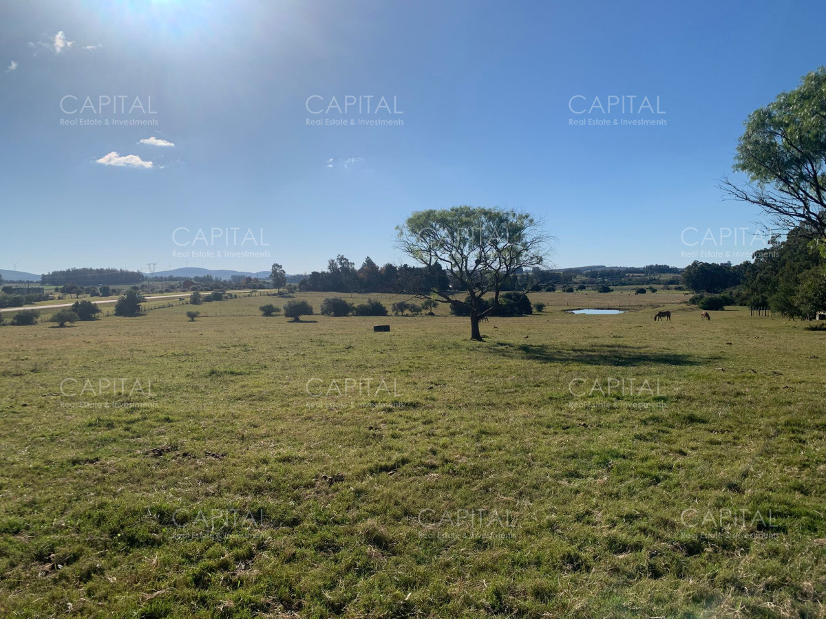 Chacra ID.38532 - Chacra 5 has próxima a San Carlos 