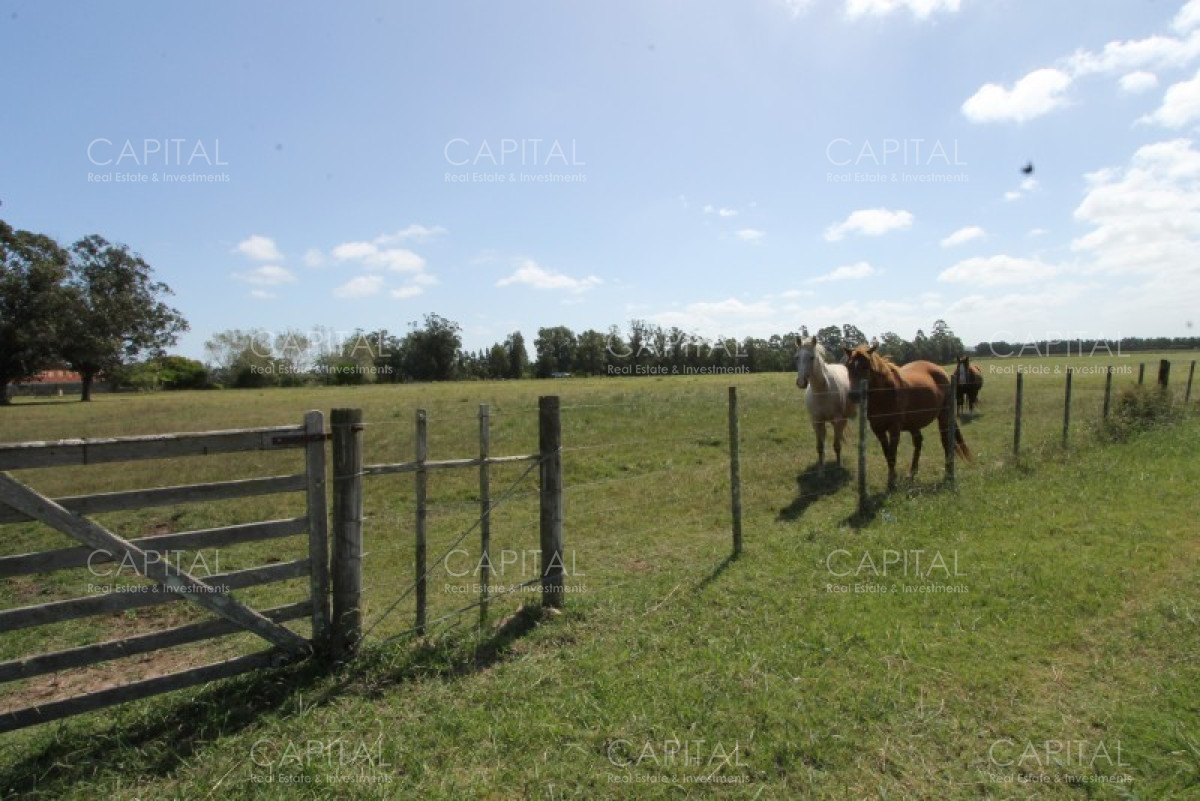 Chacra ID.36637 - Excepcional Chacra 12 HAS en Narbona