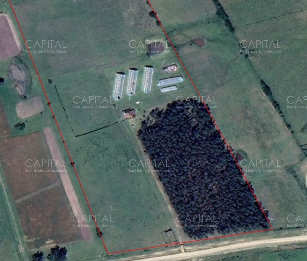 Chacra ID.37675 - Oportunidad chacra de 10.5 has a 18km de San Carlos 