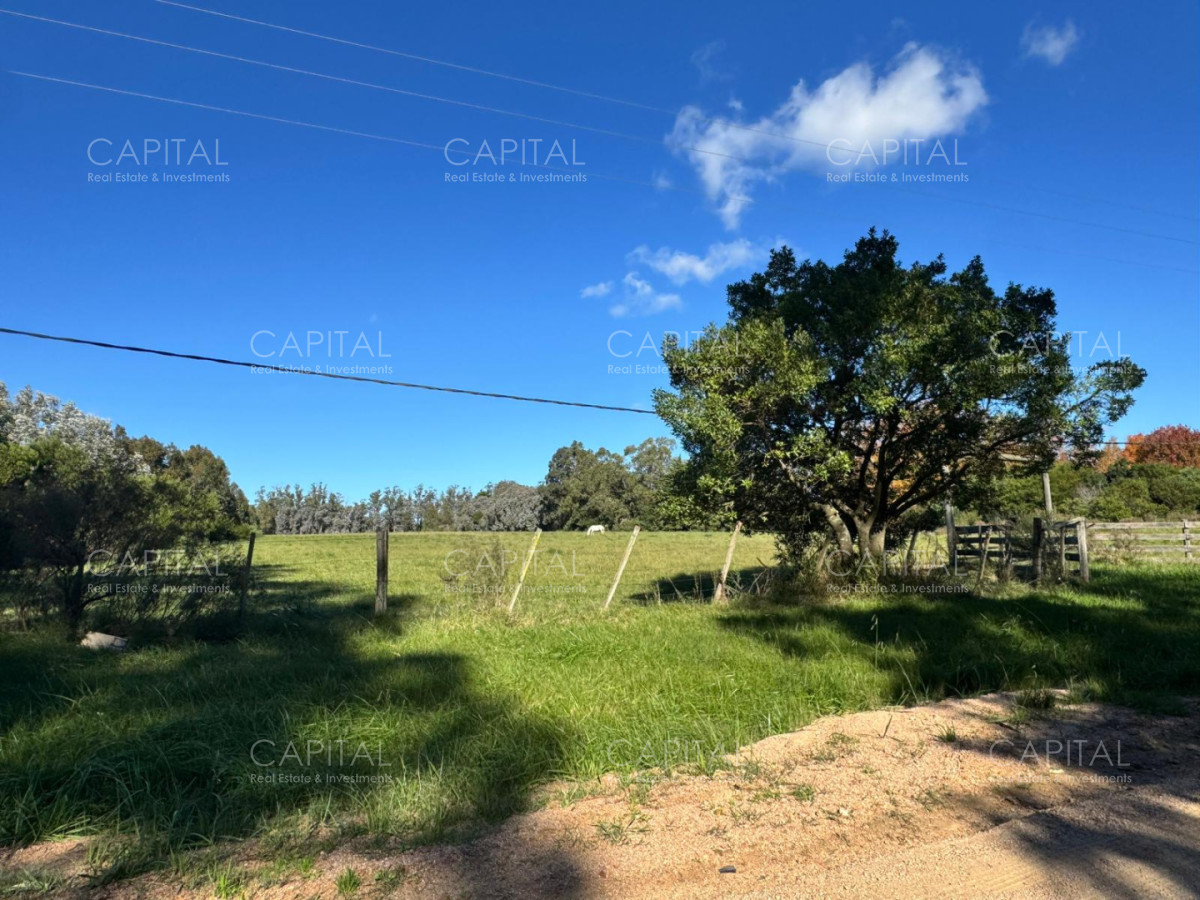 Chacra ID.40177 - Venta Chacra 3 Hectareas en La Barra