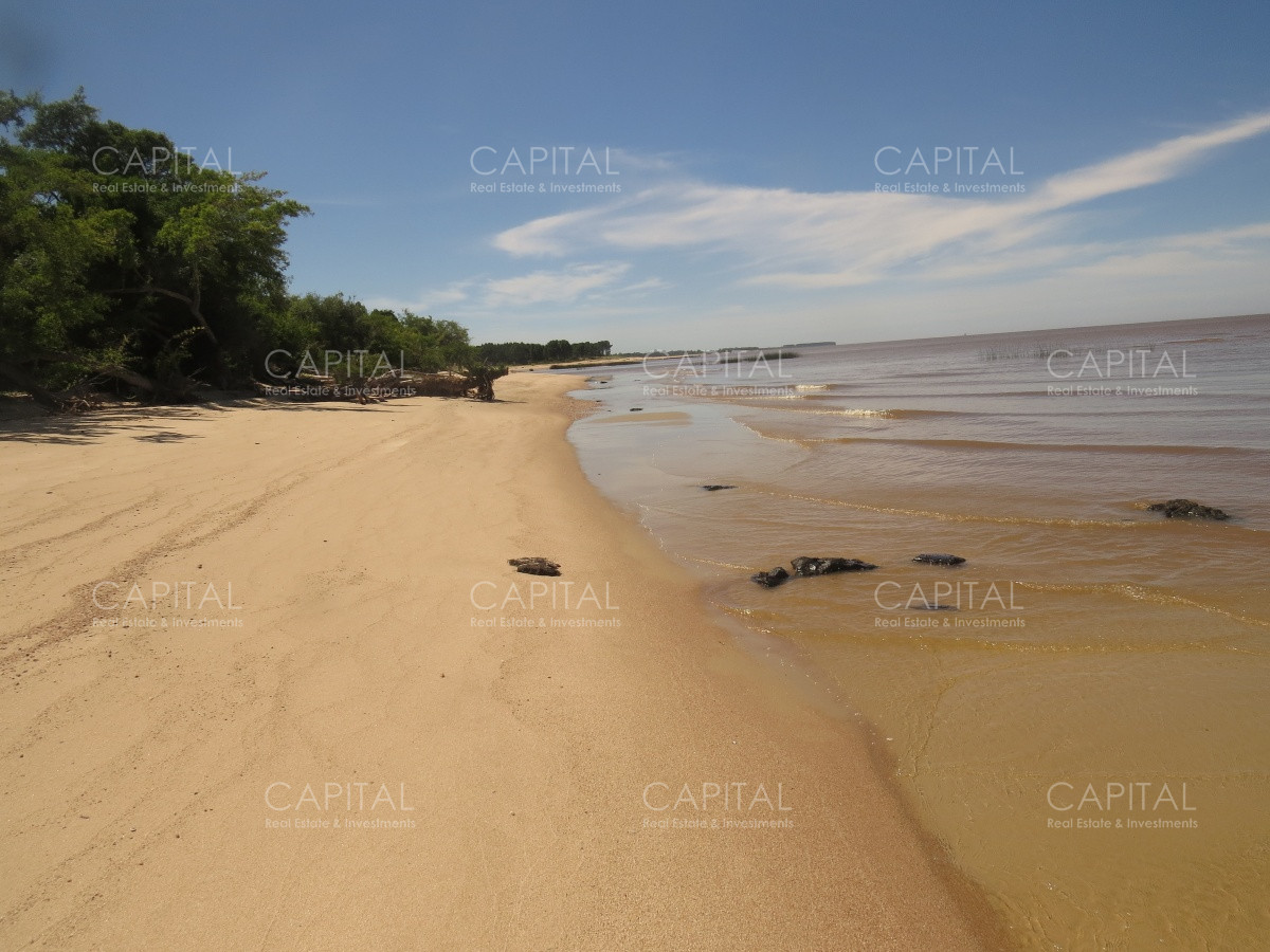 Chacra ID.29280 - Chacra con costa al Rio de La Plata