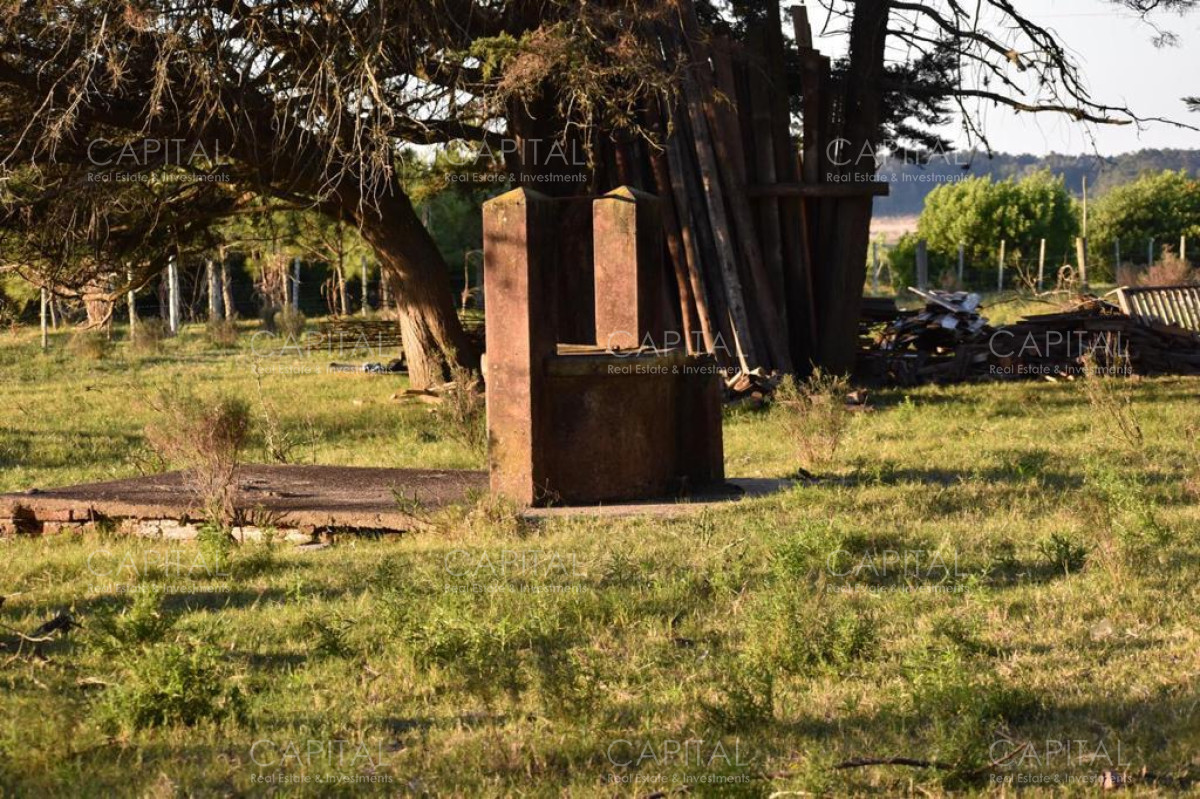 Chacra ID.35457 - Chacra Manantiales Ruta 104 43 hectareas en Venta Frente a MACA Atchugarry Pueblo Mio