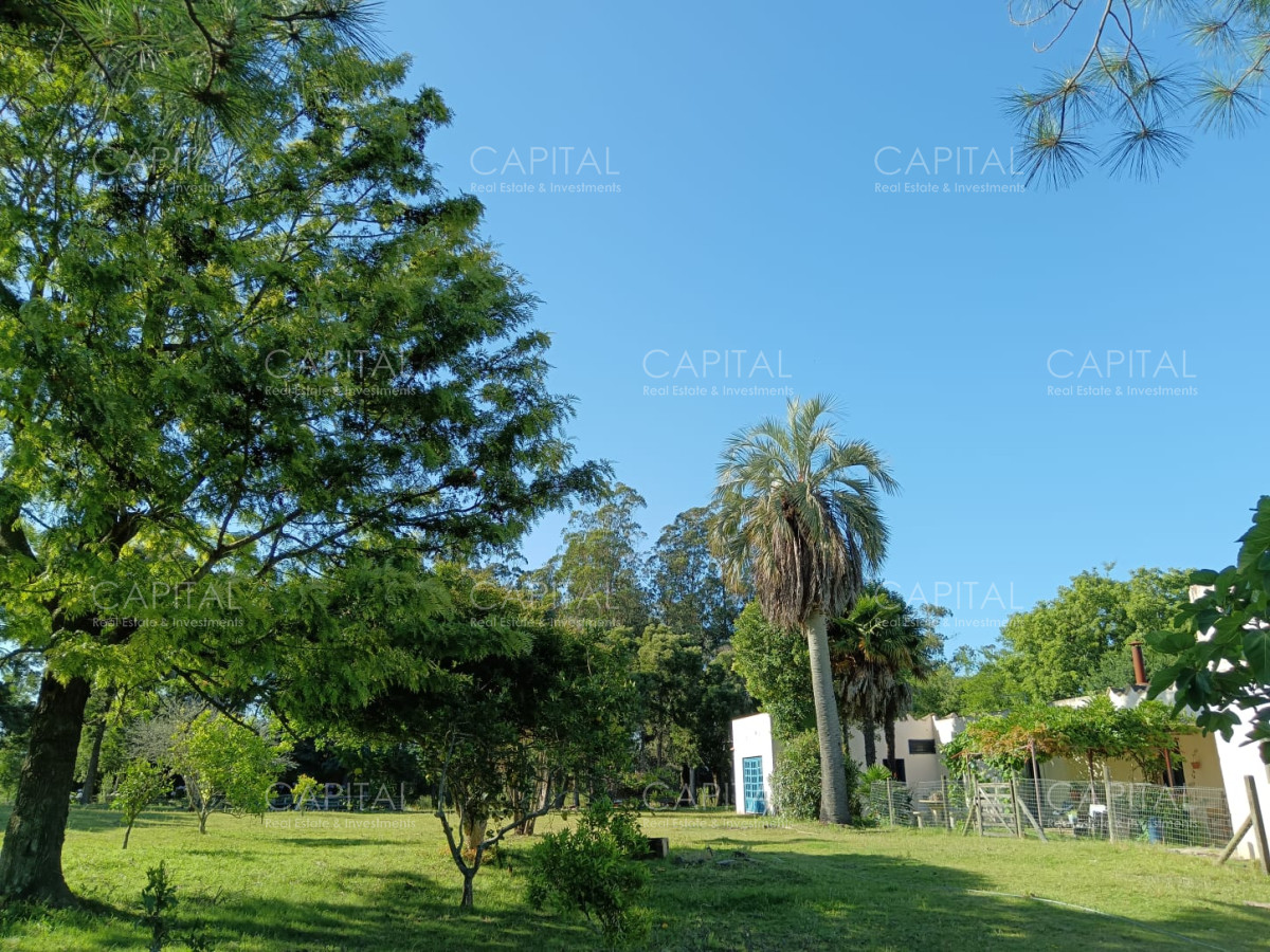 Chacra ID.37396 - CHACRA de 2 HAS.  a 200m de ruta 9 