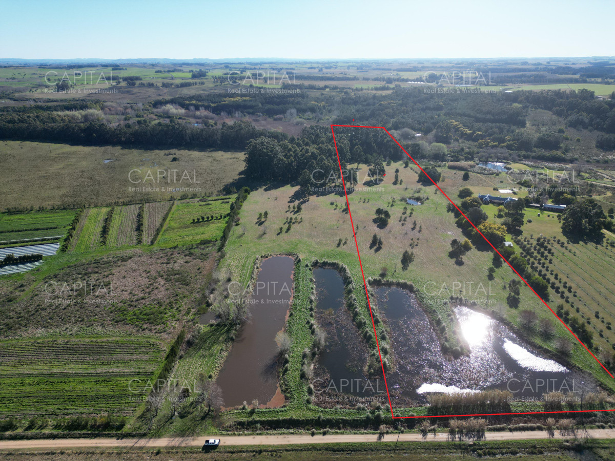 Chacra ID.38837 - Chacra de 5 has sobre ruta 104 próximo a NARBONA La Plantación