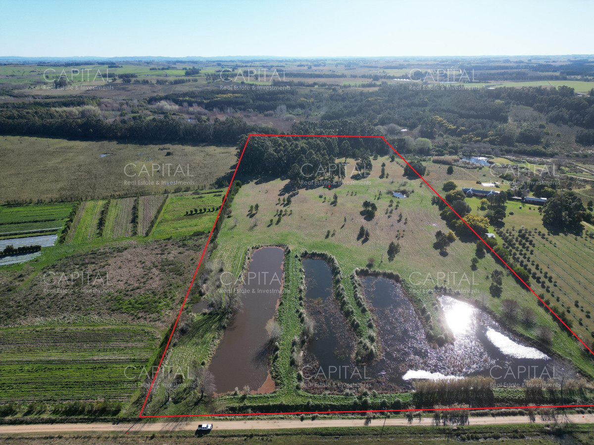 Chacra ID.38842 - Chacra de 10 has próxima a ruta 104 próximo a MACA ,Pueblo Mío, NARBONA La Plantación  