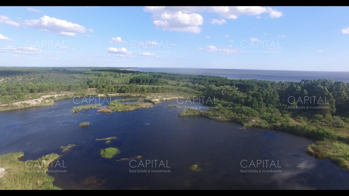 Chacra ID.29280 - Chacra con costa al Rio de La Plata