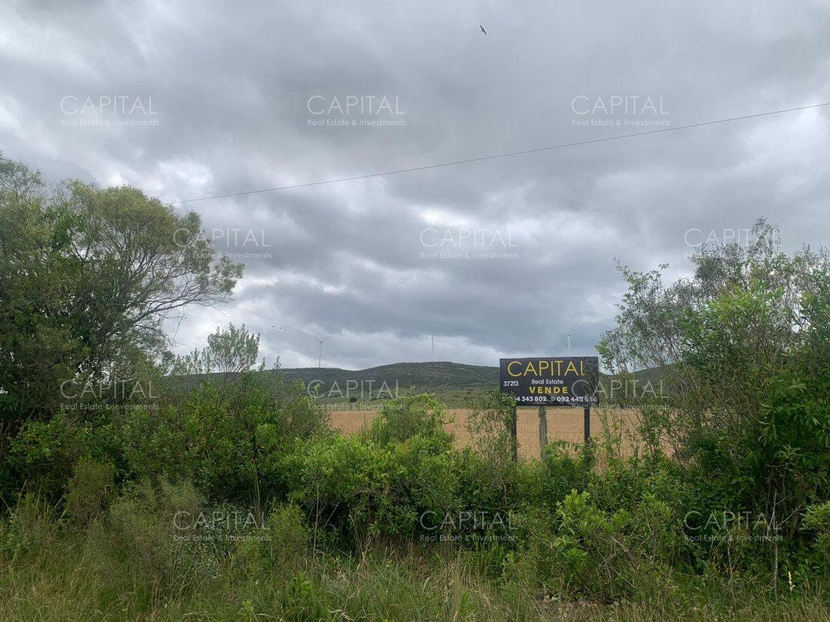 Chacra ID.37213 - Chacras Sierras de caracoles a 30 min de Punta del Este