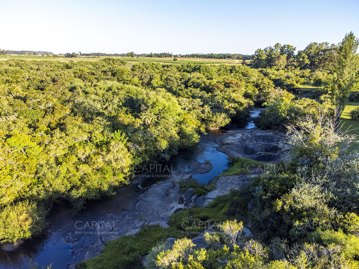 Chacra ID.37799 - CHACRAS Vilaró 