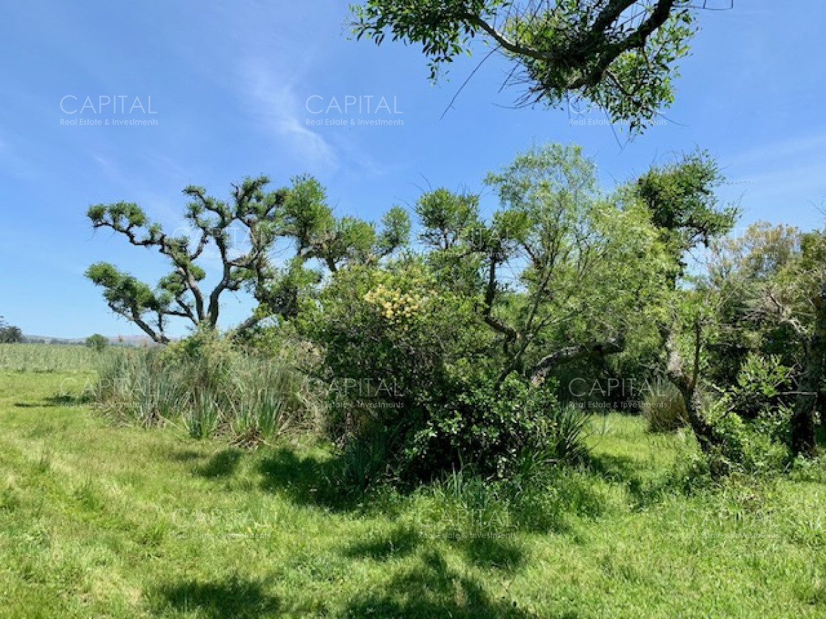 Chacra ID.28488 - Chacra con arroyo de casi 19 hectáreas disponible en Venta