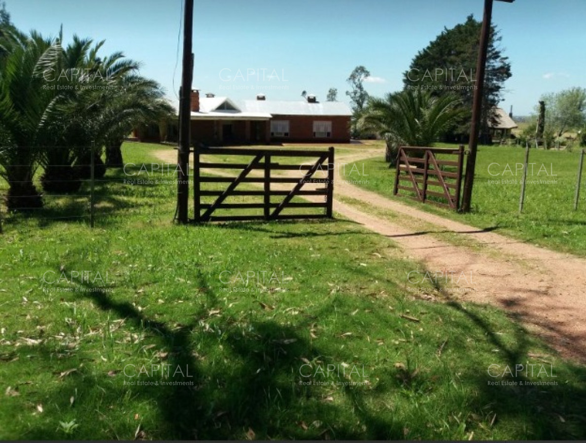 Chacra ID.27660 - Venta de Chacra + Camino de los Ceibos, Punta del Este