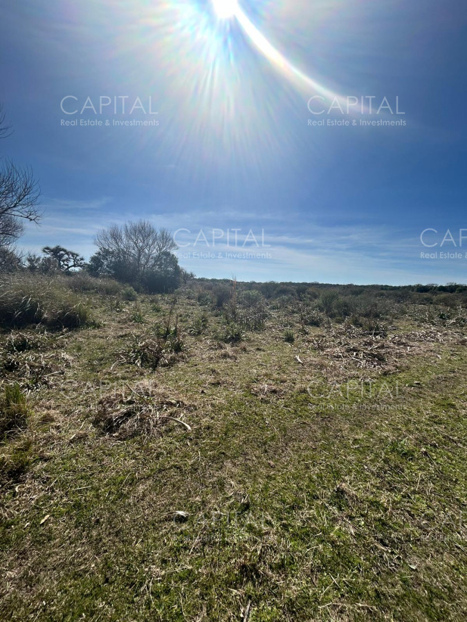 Chacra ID.35123 - Chacra con casa moderna en venta, Ruta 39. 