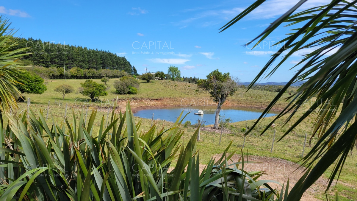 Chacra ID.35103 - Chacra en venta Sierras de Maldonado - Uruguay.