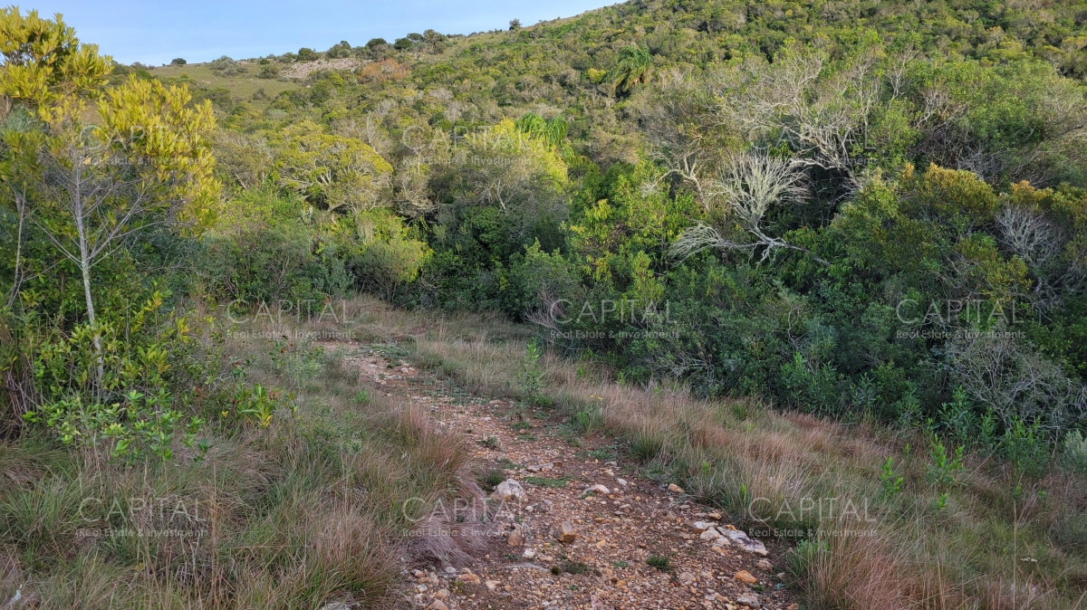 Chacra ID.35105 - Chacra en venta, Sierras de Maldonado - Uruguay