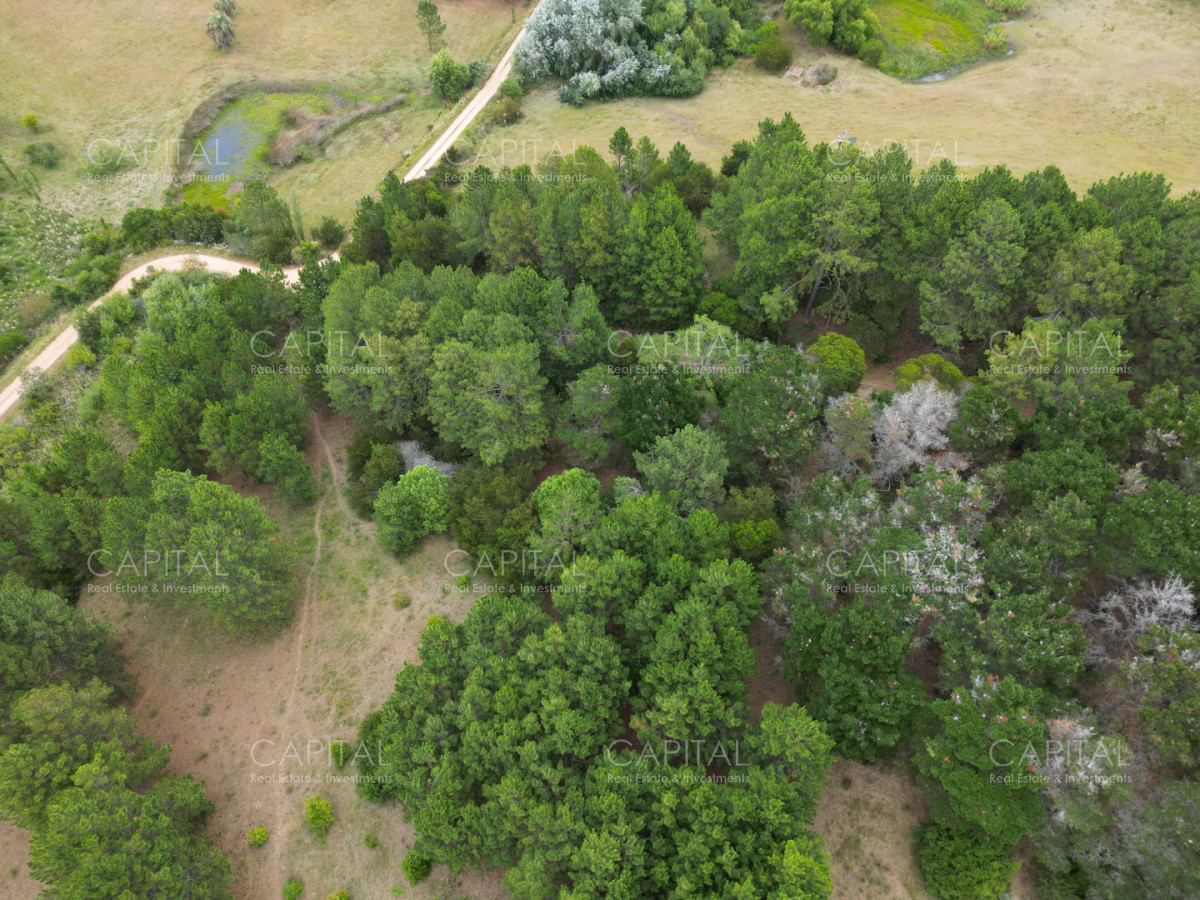 Chacra ID.39061 - Chacra de 5 Hectáreas, Las Portuguesas-José Ignacio 