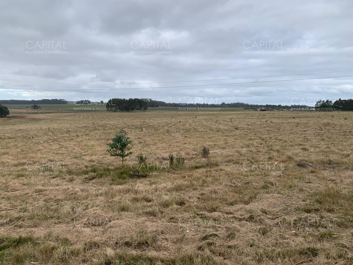 Chacra ID.38797 - Espectacular chacra 10 has sobre ruta 104 ,Pueblo Mío , MACA , NARBONA