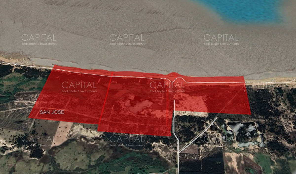 Chacra ID.29280 - Chacra con costa al Rio de La Plata