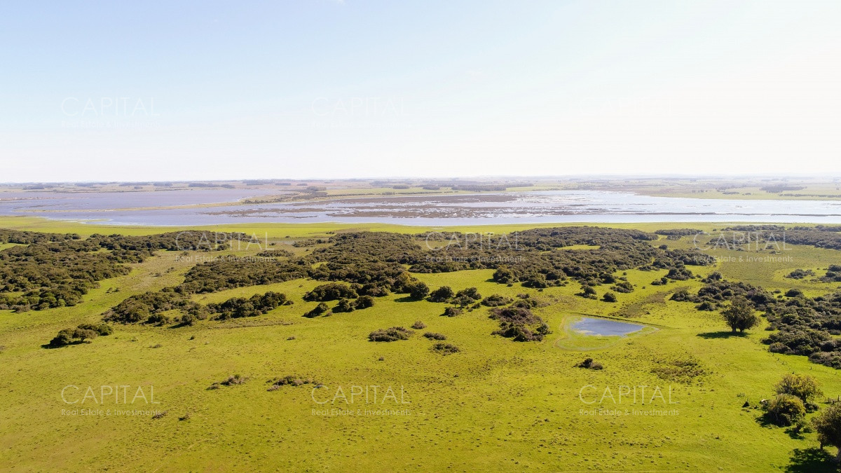 Chacra ID.29940 - Chacra en El Caracol - Garzon 108 Has, en venta