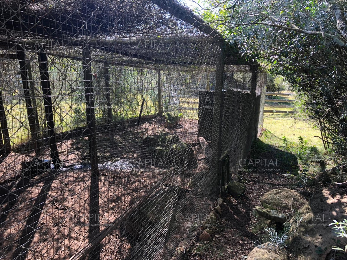 Chacra ID.31247 - Chacra en Ruta 39, en venta