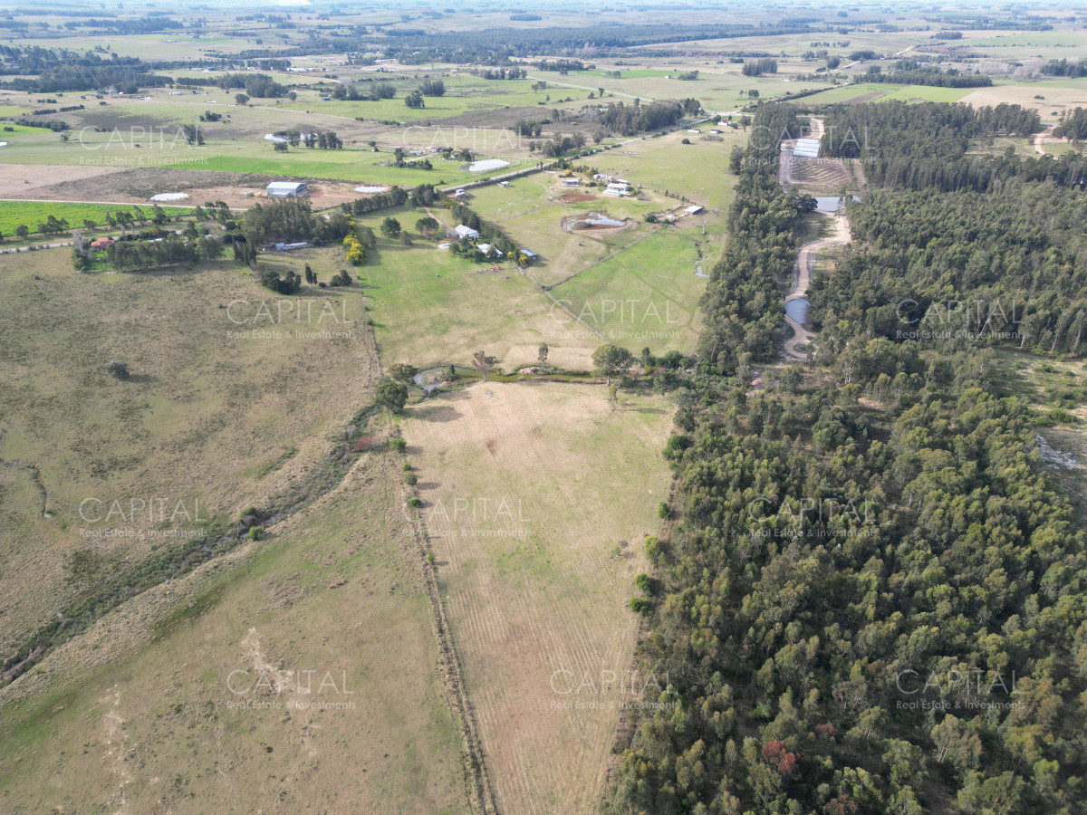 Chacra ID.38899 - Chacra de 5 has próximo a ruta 104 