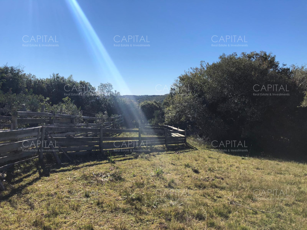 Chacra ID.31247 - Chacra en Ruta 39, en venta