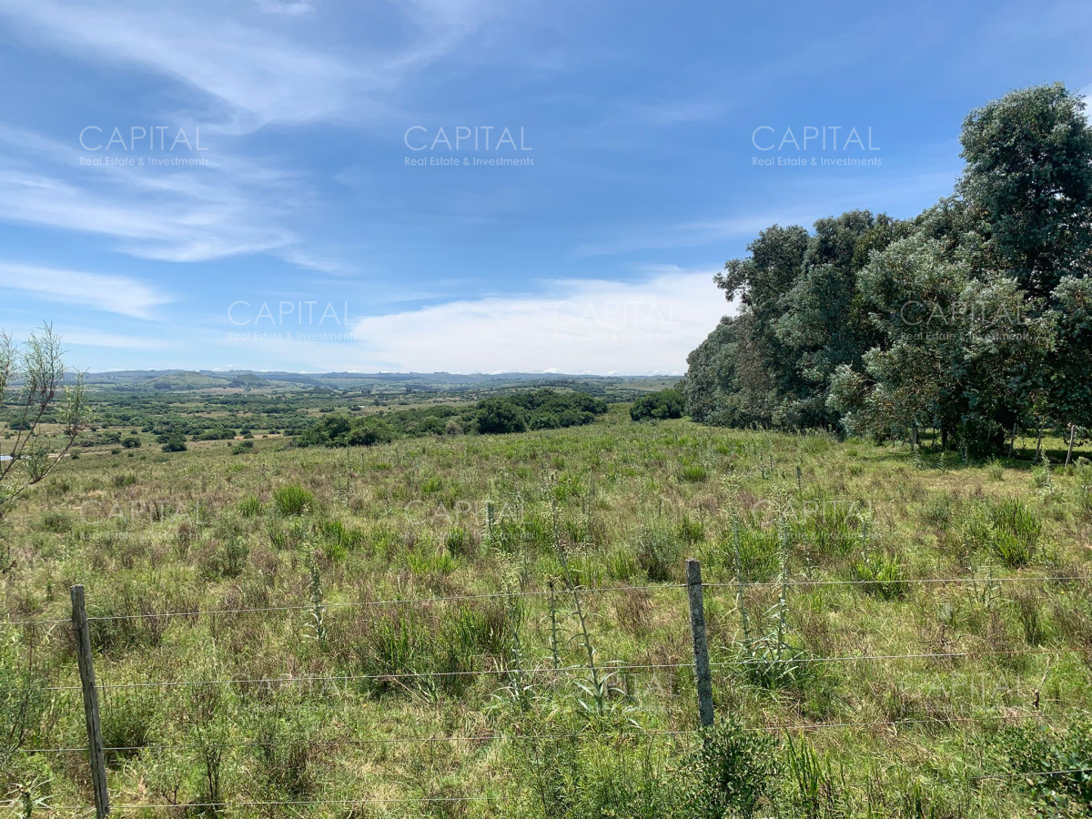 Chacra ID.37346 - Chacra 5 has Pueblo Edén 