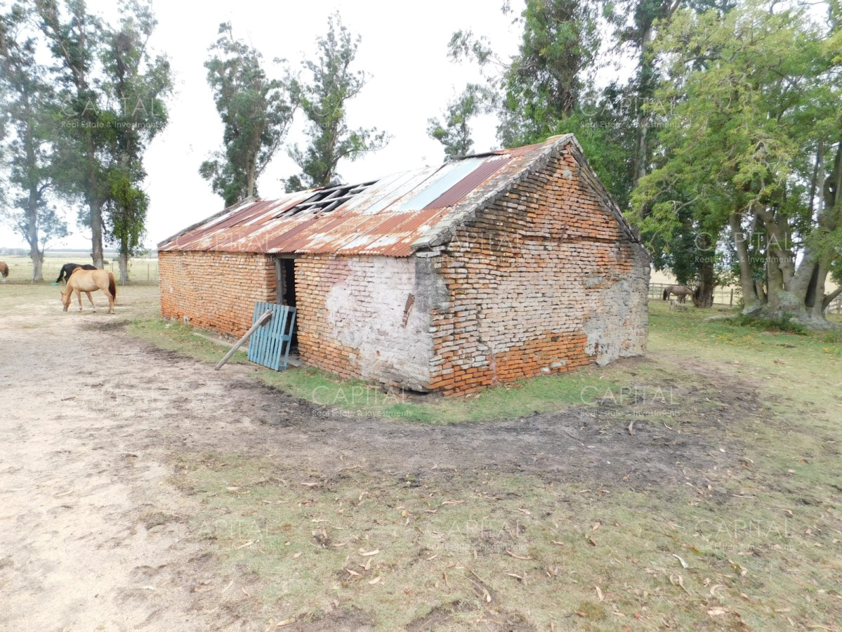 Chacra ID.29031 - Chacra en Ruta 9, Próximo a Garzón 