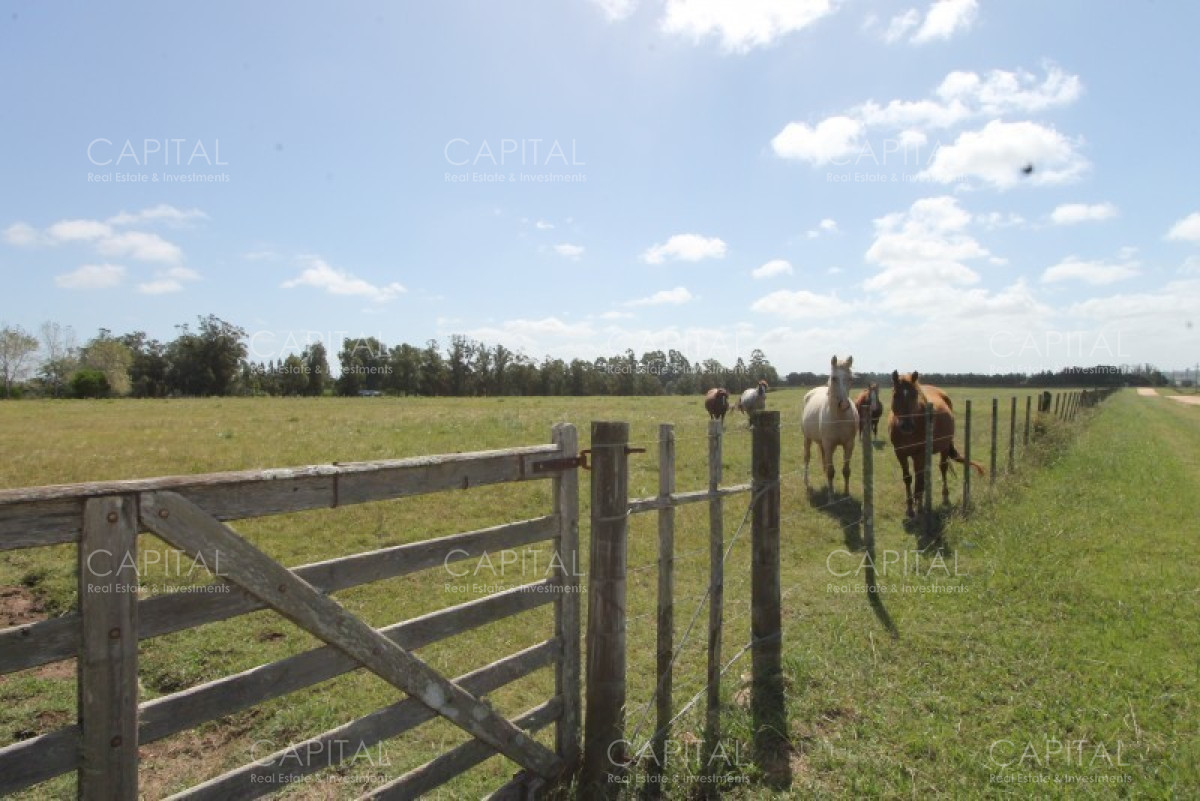 Chacra ID.36637 - Excepcional Chacra 12 HAS en Narbona