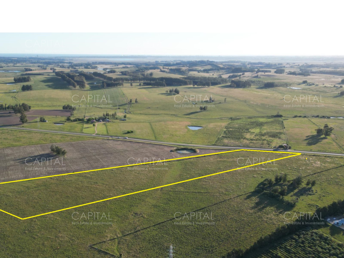 Chacra ID.39214 - Chacra de 5 has sobre ruta 104 próximo a MACA ,Pueblo Mío, NARBONA La Plantación