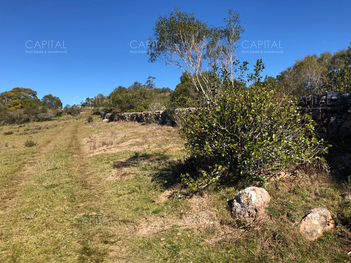 Chacra ID.31247 - Chacra en Ruta 39, en venta