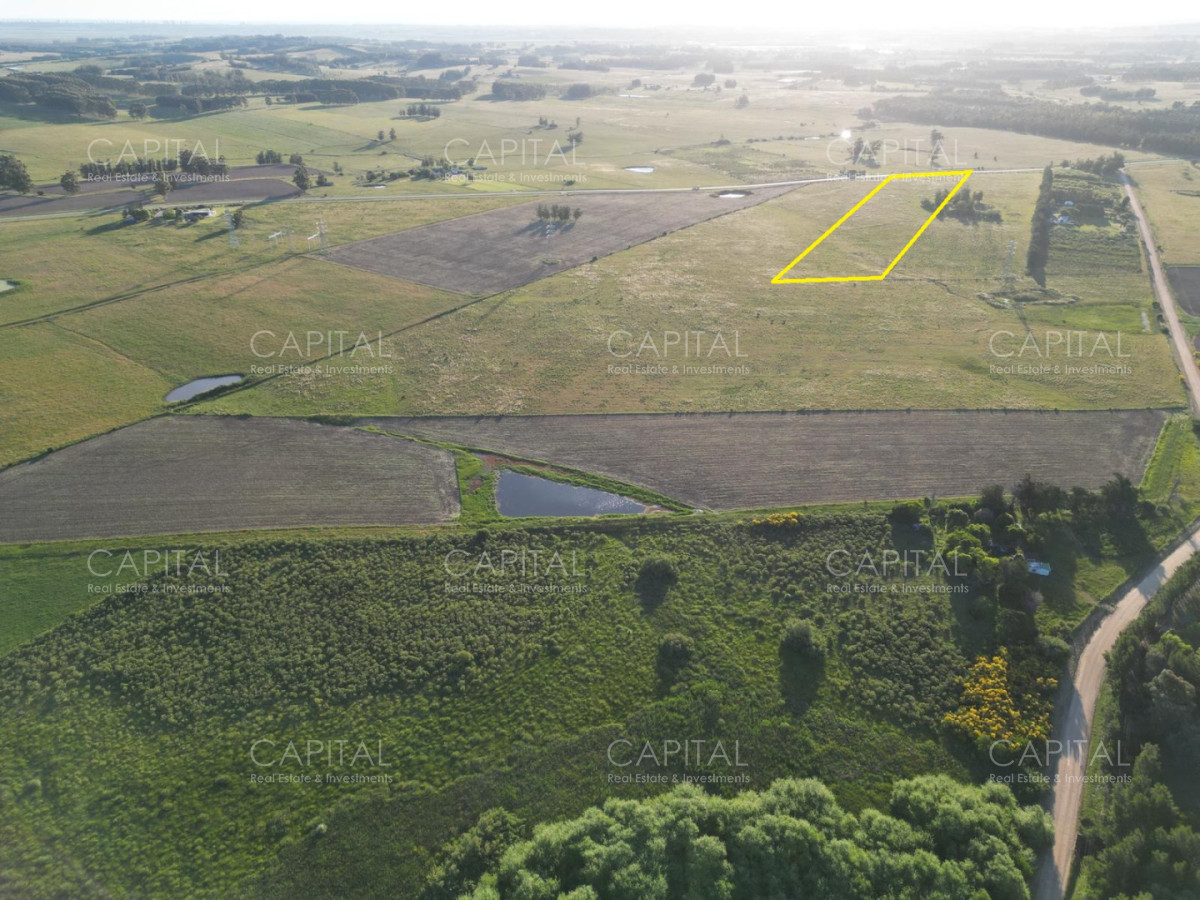 Chacra ID.39215 - Chacra de 5 has sobre ruta 104 próximo a MACA ,Pueblo Mío, NARBONA La Plantación