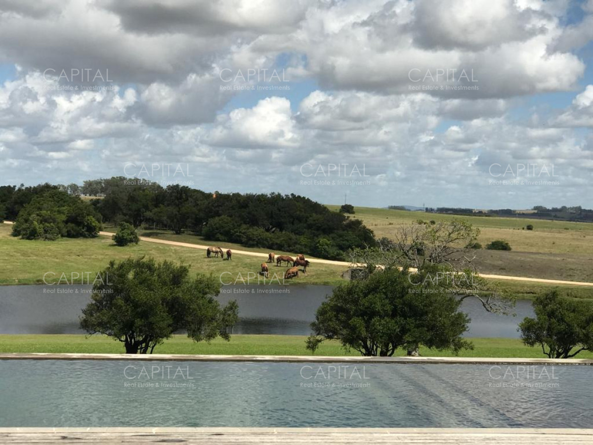 Chacra ID.39591 - Chacra de 7 hectáreas en Las Coronillas - José Ignacio
