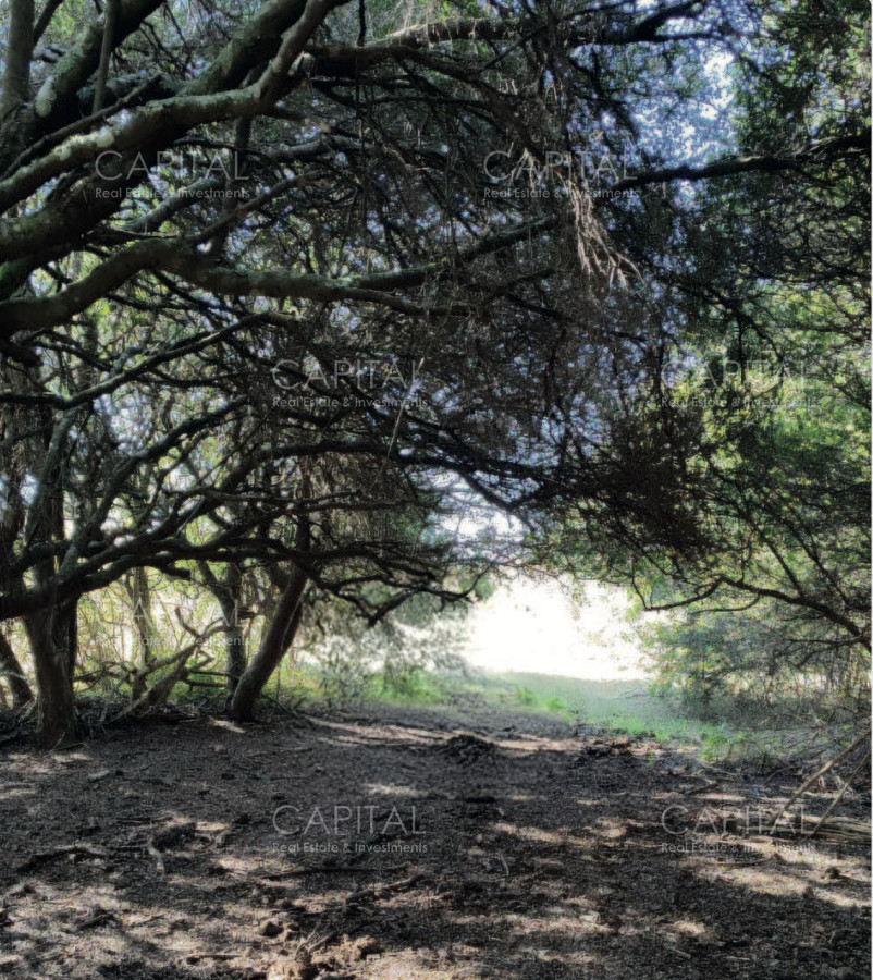 Chacra ID.37890 - Chacra de 5has en zona hípica, a 6 km de Manantiales