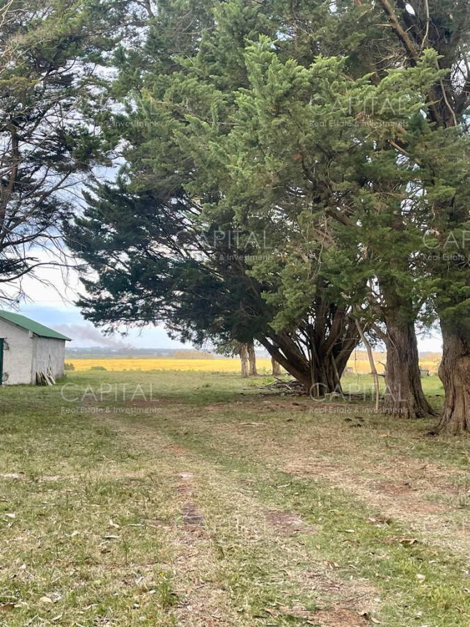 Chacra ID.35457 - Chacra Manantiales Ruta 104 43 hectareas en Venta Frente a MACA Atchugarry Pueblo Mio