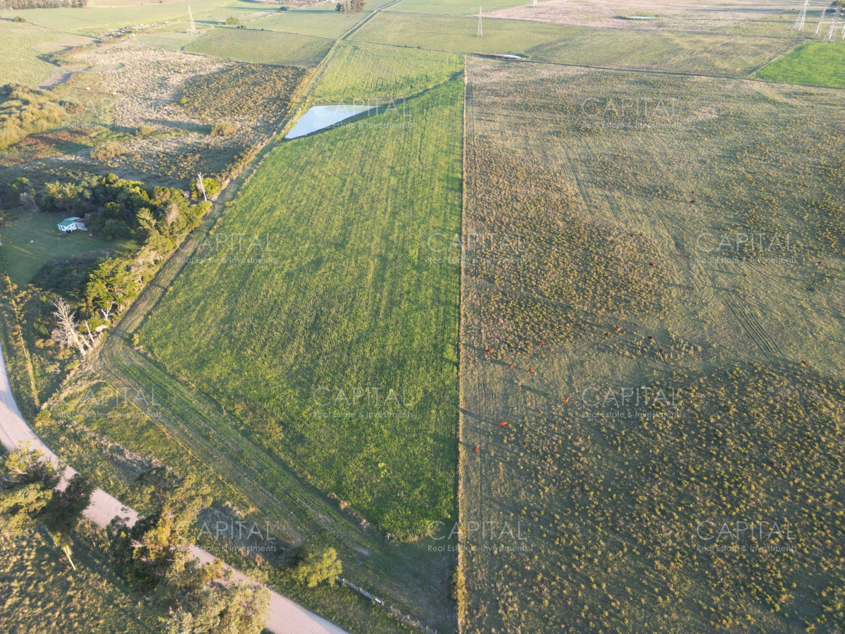 Chacra ID.37898 - Chacra de 11 has a metros de ruta 104