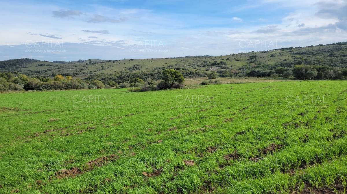 Chacra ID.35105 - Chacra en venta, Sierras de Maldonado - Uruguay