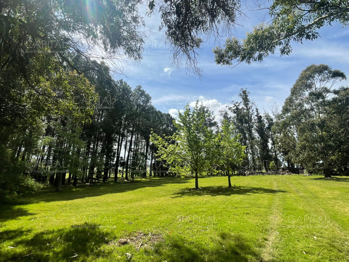 Chacra ID.36917 - Excepcional chacra de 5 has en las proximidades en zona Fasano