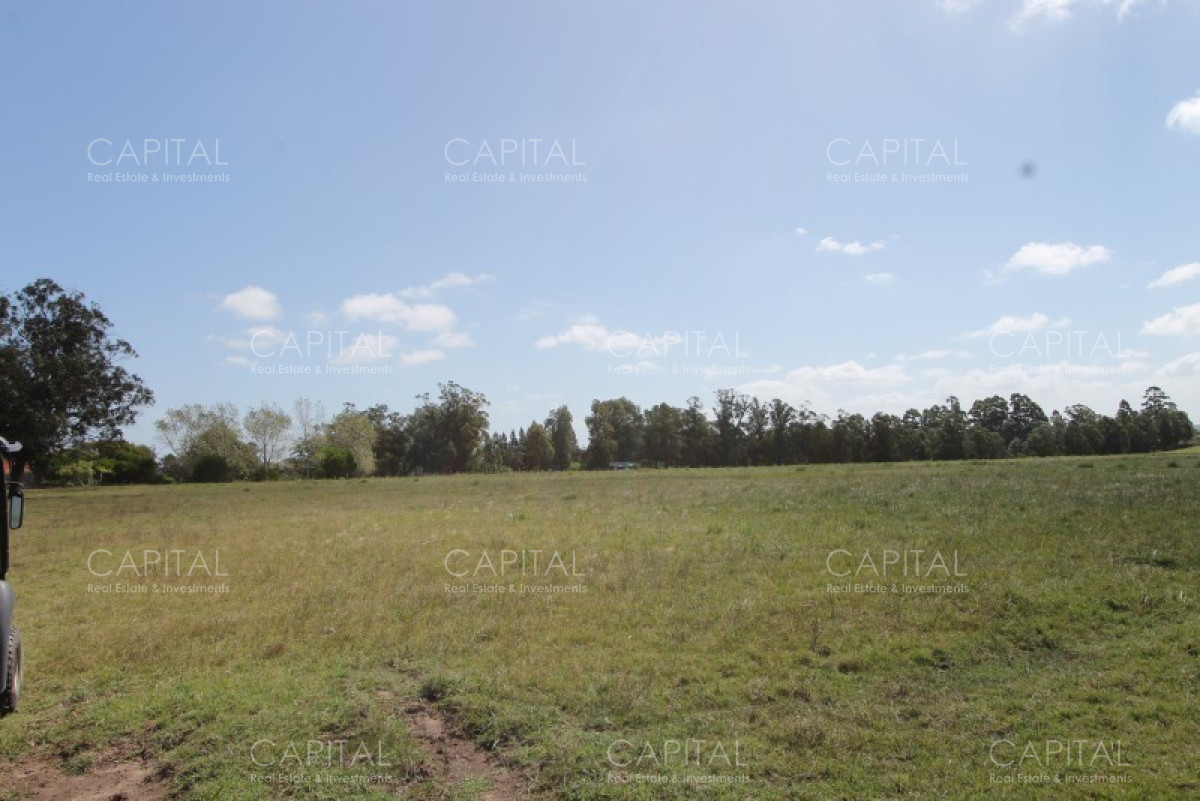 Chacra ID.36637 - Excepcional Chacra 12 HAS en Narbona