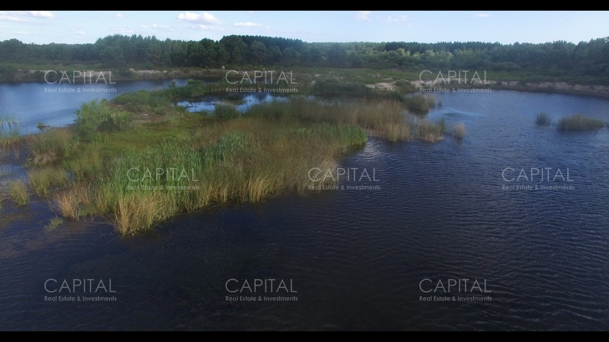 Chacra ID.29280 - Chacra con costa al Rio de La Plata