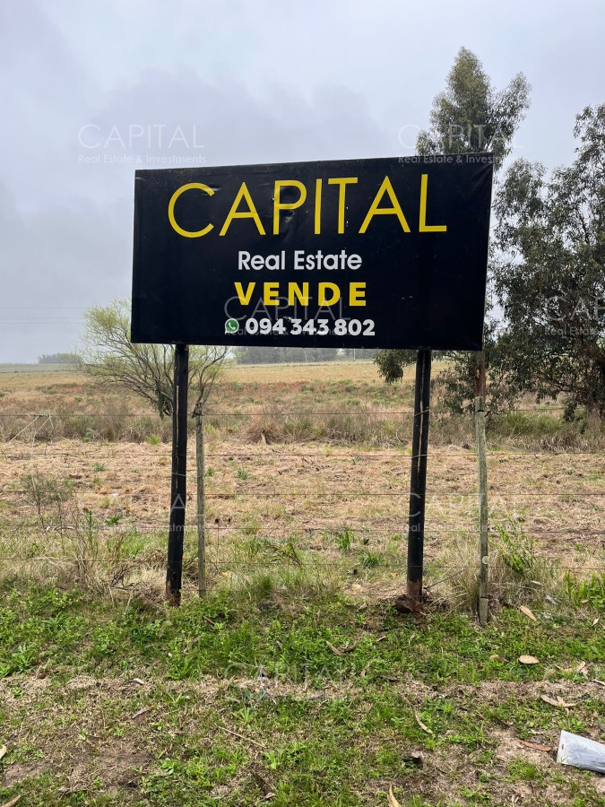 Chacra ID.36941 - Tierra en Venta para Desarrollar Próximo a Fasano y El Quijote