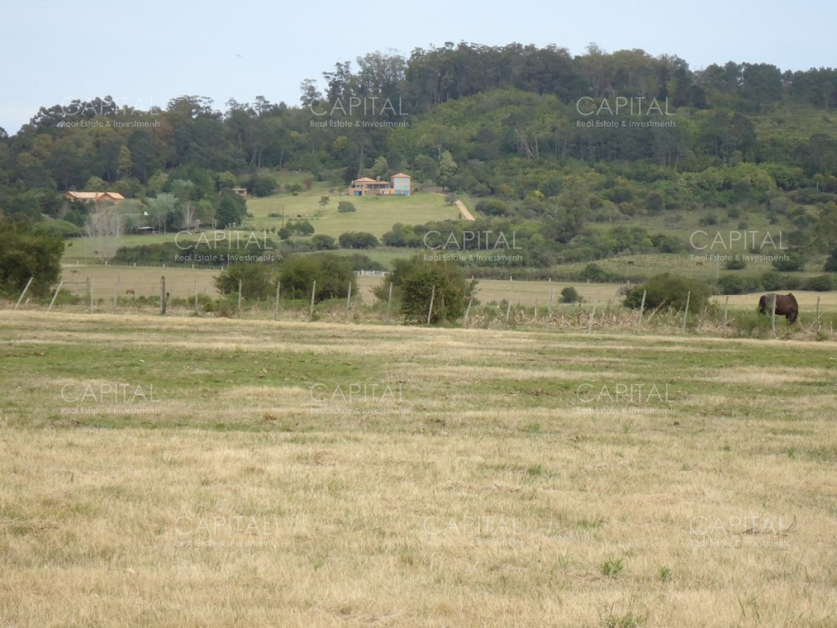 Chacra ID.27664 - Excelente Chacra en venta en zona de La Pataia