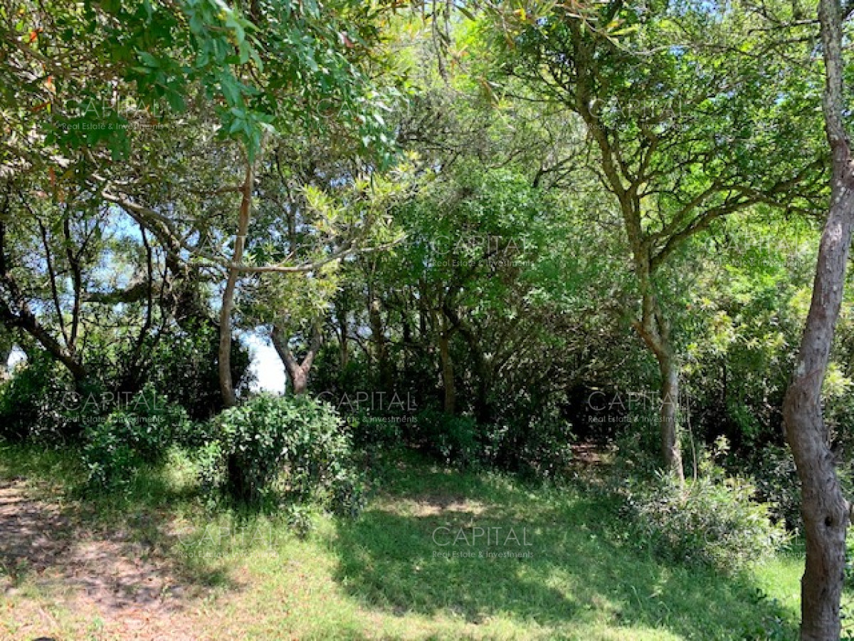 Chacra ID.28488 - Chacra con arroyo de casi 19 hectáreas disponible en Venta