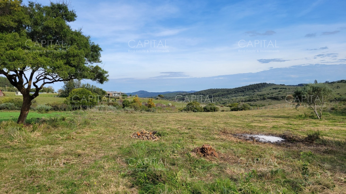 Chacra ID.35105 - Chacra en venta, Sierras de Maldonado - Uruguay