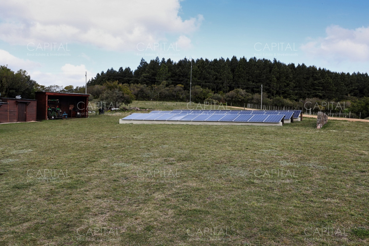 Chacra ID.35103 - Chacra en venta Sierras de Maldonado - Uruguay.